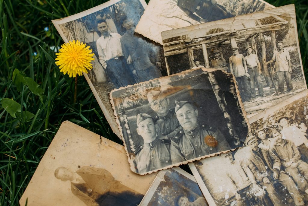 eugenia pan kiv scn5lnin6pw unsplash